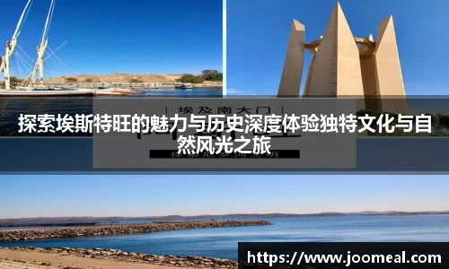 德信体育APP